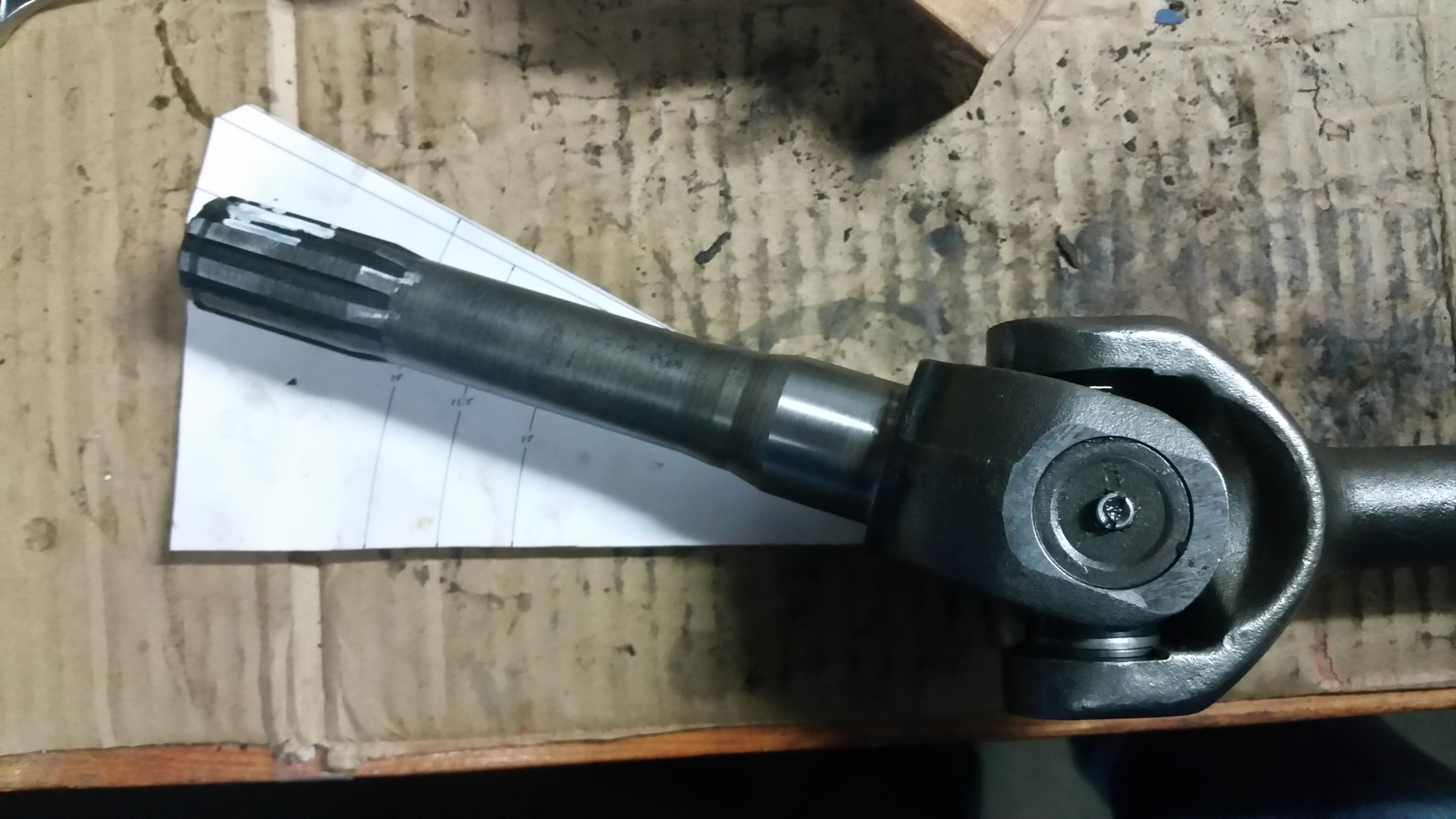 20151004_165948.jpg