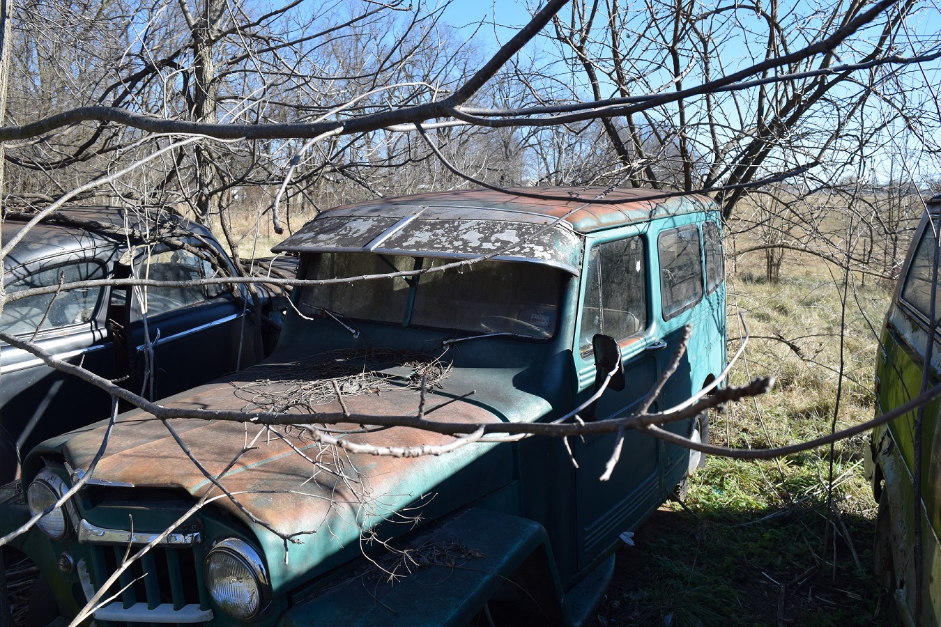 DSC_0045.JPG
