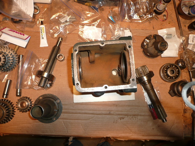 P1090220.JPG