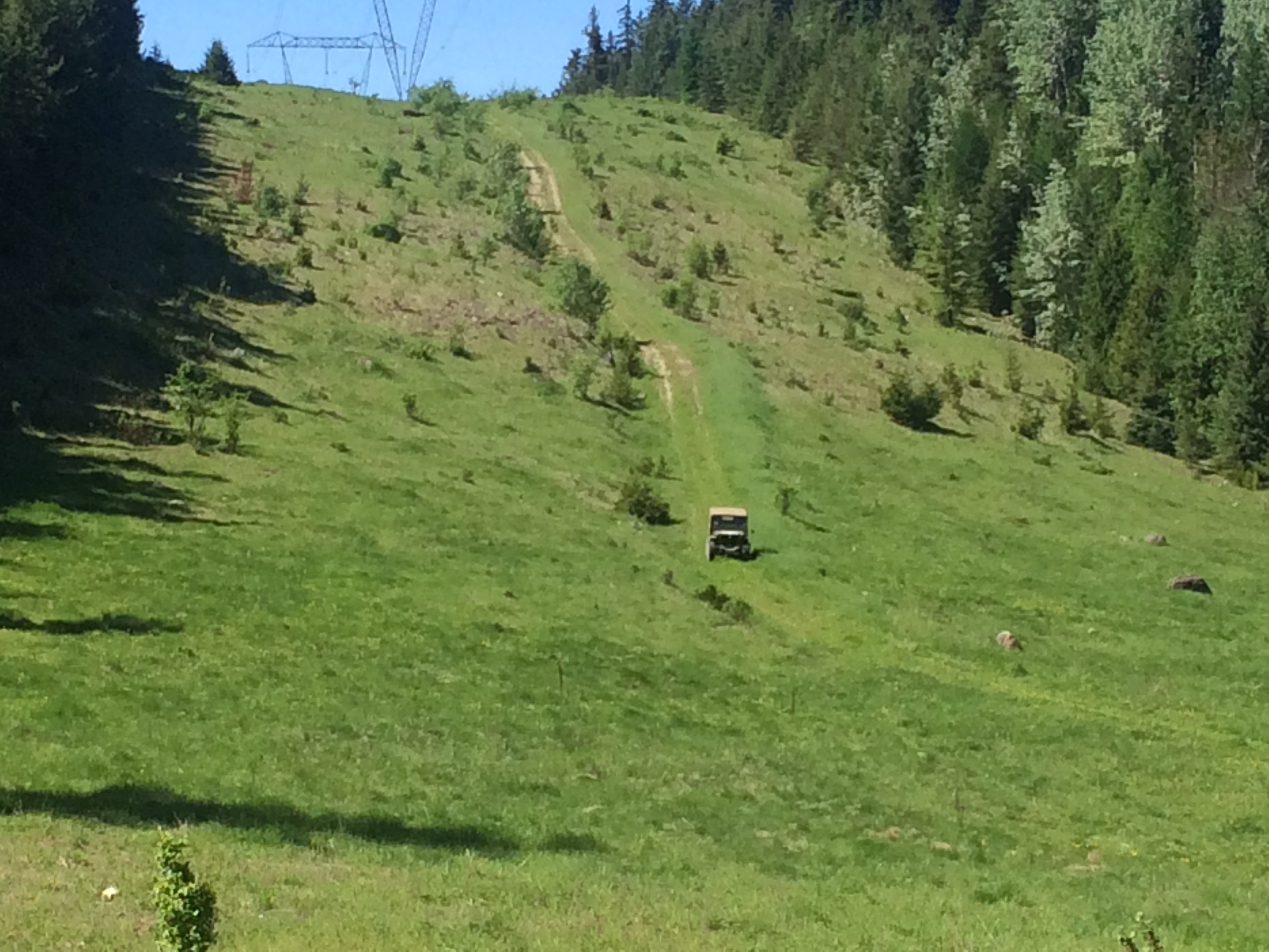 image_043.jpeg